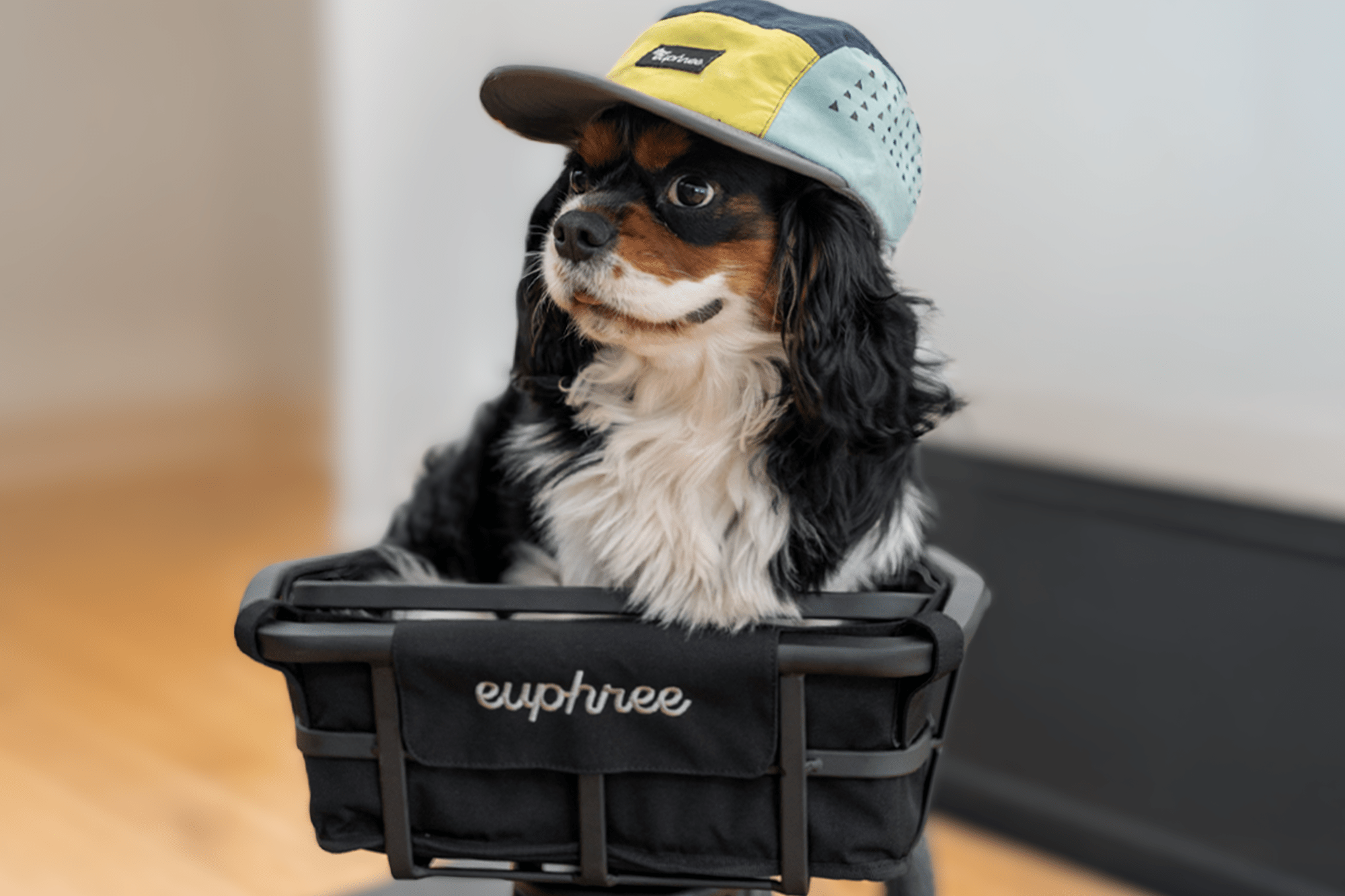 Euphree Velocity 5 - Panel Nylon Cap - euphree