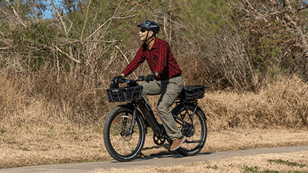 Fall Sale: Free Rear Basket + Liner - euphree