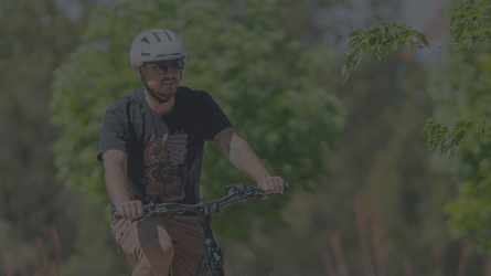 Full Review: Stellar Falcon - euphree