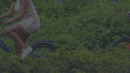 Euphree Solar Sparrow Review Roundup - euphree